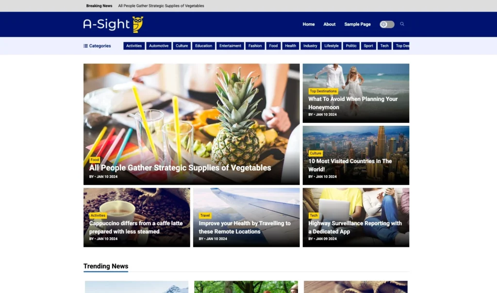 Tampilan tema WordPress berita Asight